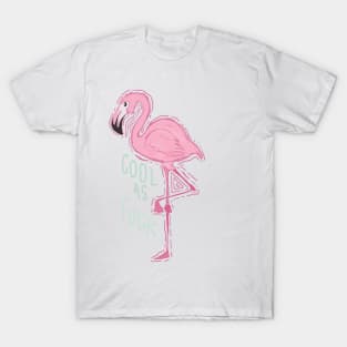 pink flamingo T-Shirt